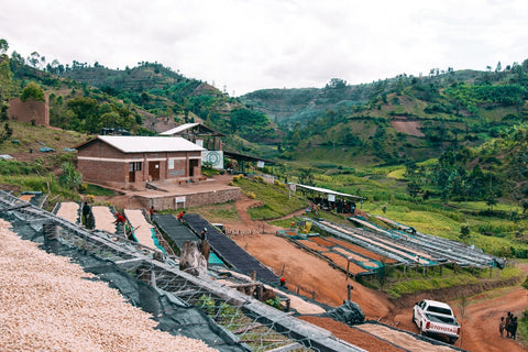 A New Rwandan Economy | Kilimbi Washing Station